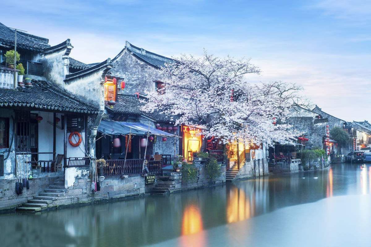 蛇蛇争霸